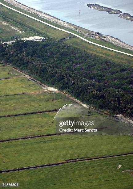 Sugar cane fields are watered near the coast of Lake Okeechobee May 31, 2007 in Pahokee, Florida. Lake Okeechobee tied a record an all-time water...