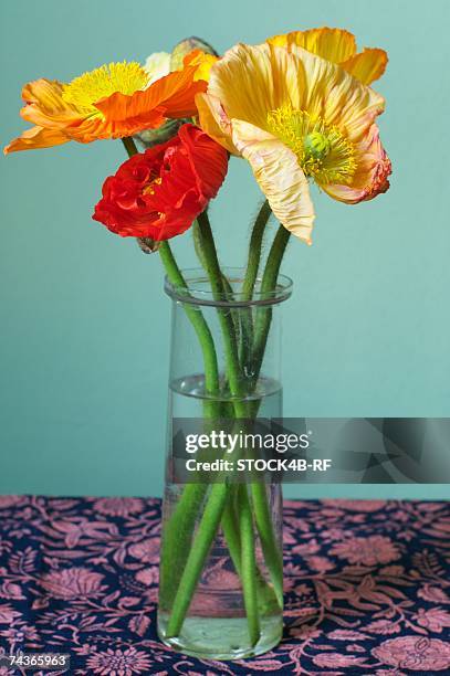 poppies in a vase - poppies in vase stock pictures, royalty-free photos & images