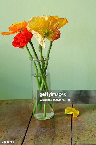 poppies in a vase - poppies in vase stock pictures, royalty-free photos & images