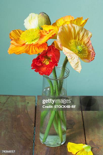 poppies in a vase - poppies in vase stock pictures, royalty-free photos & images