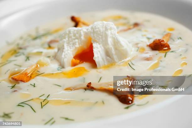 chantarelle in a mushroom cream soup with egg known as kulajda - cremesuppe stock-fotos und bilder