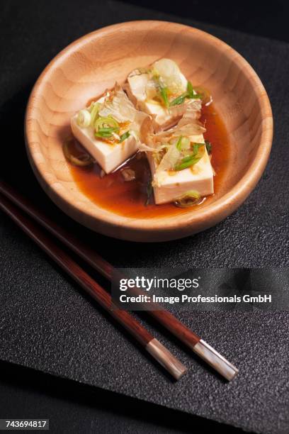 hiyayakko (cold silk tofu, japan) with bonito flakes, chives, grated ginger and soy sauce - katsuobushi fotografías e imágenes de stock