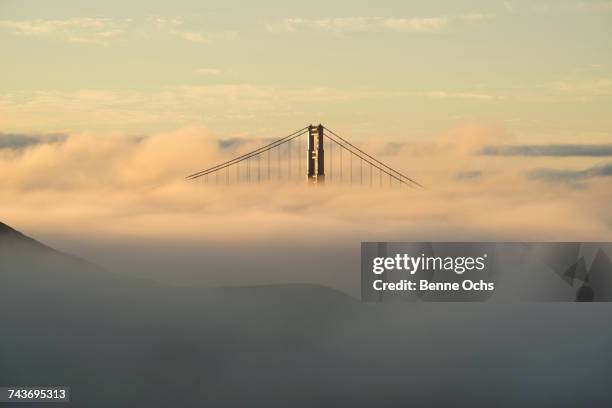 view of golden gate bridge surrounded by fog during sunset, san francisco, california, usa - golden gate bridge city fog stock pictures, royalty-free photos & images