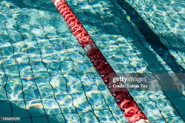 high angle view of lane marker in swimming pool - swimming lane marker foto e immagini stock