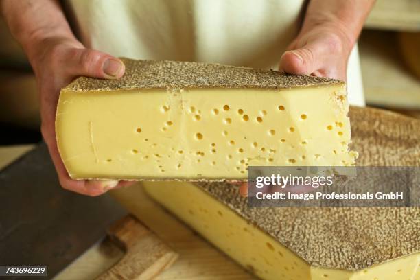 a dairyman presenting a slice of vorarlberg mountain cheese - vorarlberg imagens e fotografias de stock