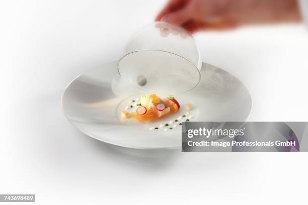 an arrangement of char confir, caviar, tartar and rollmop herring - speckled trout stock-fotos und bilder