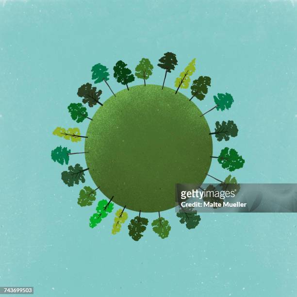 little planet image of trees growing on field against sky - inverted stock illustrations