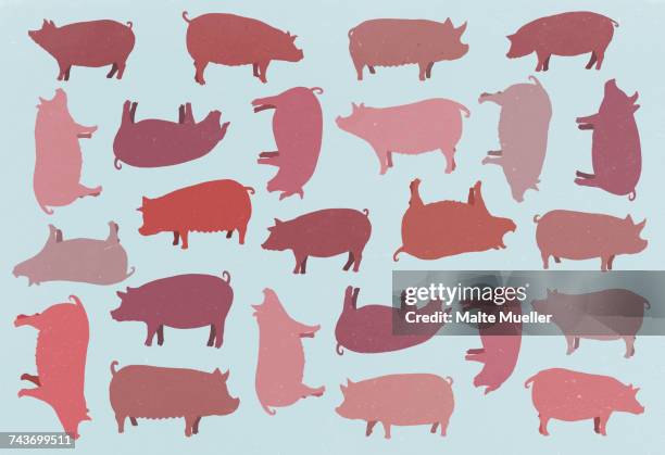 bildbanksillustrationer, clip art samt tecknat material och ikoner med full frame shot of pigs over blue background - fläsk