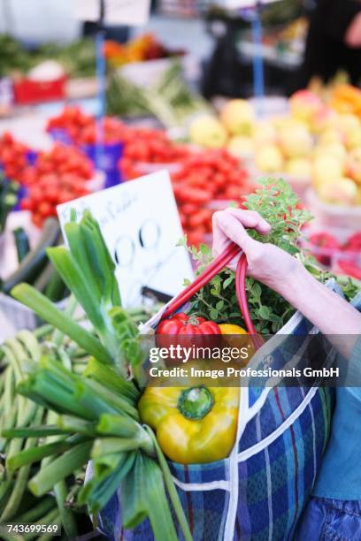 a large purchase of vegetables - origan stock-fotos und bilder