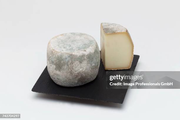 cheese, culinary specialties of corsica domaine mavela, aléria, corsica island, france, europe - sheeps milk cheese stock pictures, royalty-free photos & images