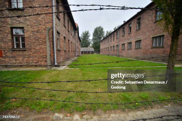 auschwitz concentration camp perimeter. krakow. &#13; poland. - nazi concentration camp stock pictures, royalty-free photos & images