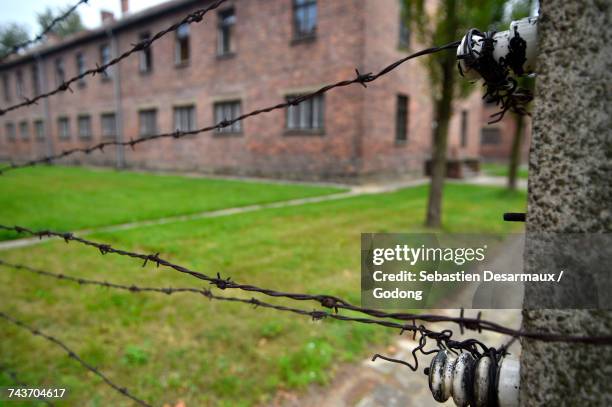 auschwitz concentration camp perimeter. krakow. &#10; poland. - nazi concentration camp stock pictures, royalty-free photos & images