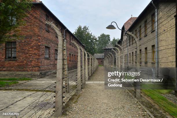 auschwitz concentration camp perimeter. krakow. &#13; poland. - nazi concentration camp stock pictures, royalty-free photos & images