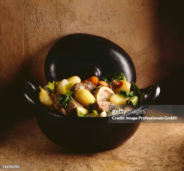 beef and vegetable casserole dish - pot au feu imagens e fotografias de stock