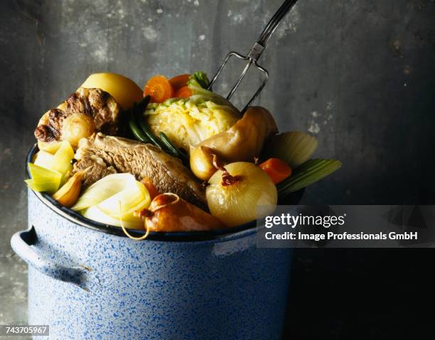 pot-au-feu - pot au feu imagens e fotografias de stock