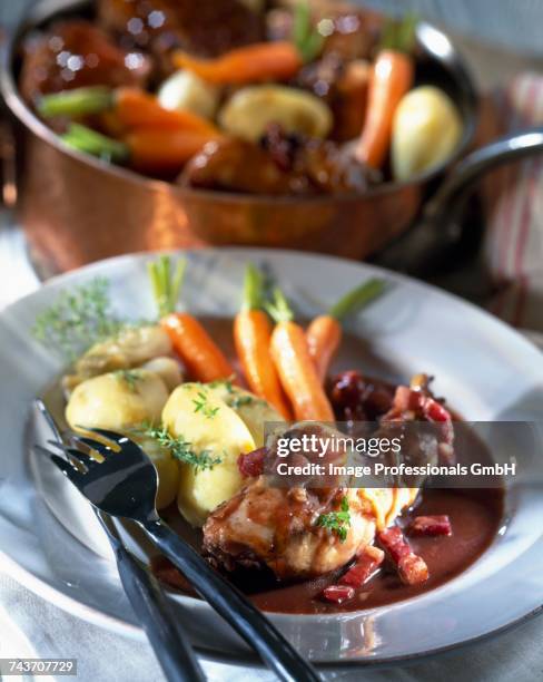 rabbit civet with juniper berries - konijn stockfoto's en -beelden