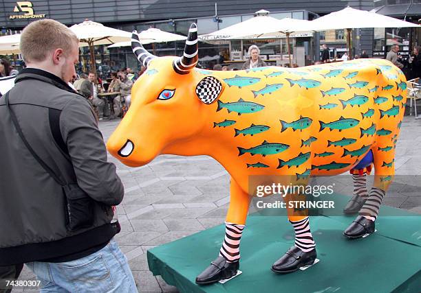 Picture taken 02 June 2007 shows a man looking at a sculptured cow during the Cowparade held in central Copenhagen. From June 02 until 31 August 2007...