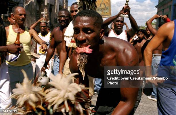 Nianigo", member of the Abacua brotherhood society, dances with the head of a chicken at a ceremony to consecrate the street at the conclusion of a...