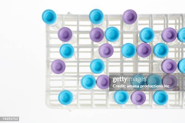 test tubes in rack (directly above) - test tube rack stock pictures, royalty-free photos & images