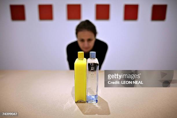 London, UNITED KINGDOM: An art enthusiast examines an art installation entitled 'Glass Bolide' by Brazilian artist Helio Oiticica Filho at London's...