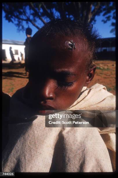 Ibrahim Ali Mohammed covers himself December 15, 1992 in Baidoa, Somalia. Somalia fell into anarchy after the fall of Siad Barre's twenty-two year...