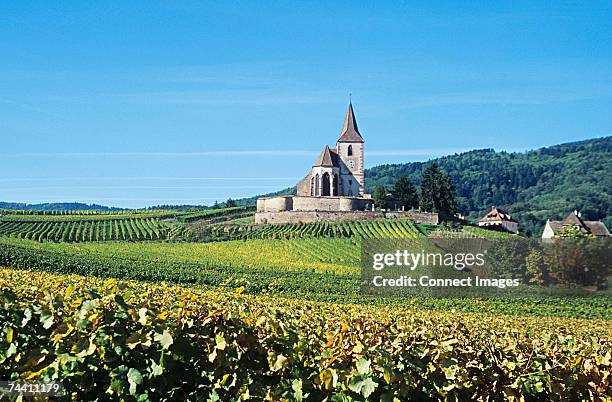 hunawhir alsace - alsace vineyard stock pictures, royalty-free photos & images