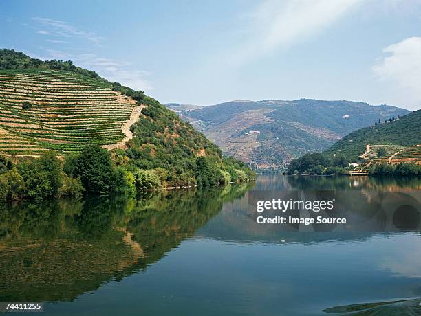 douro river and valley - river douro stock pictures, royalty-free photos & images