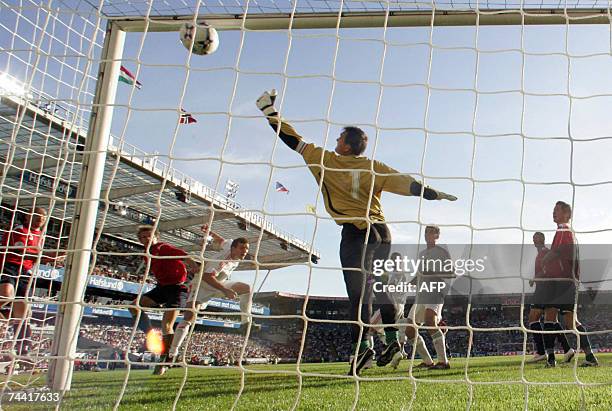 Norway`s Steffen Iversen scores past Hungary`s goalkeeper Zoltan Vegh during their Group C Euro 2008 qualifying match at the Ullevaal Stadium in...
