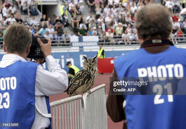 European eagle owl , the world's largest owl, poses for photographers and interrupts the Group A Euro 2008 qualifying soccer match Finland vs Belgium...