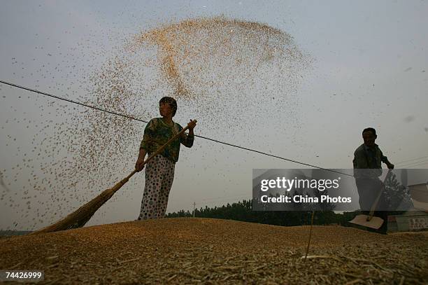 Chaff Def Wheat Chaff Photos and Premium High Res Pictures - Getty Images