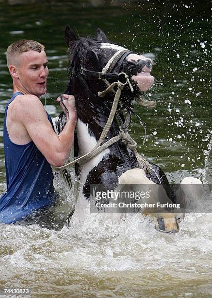 Man washes his horse in the River Eden at the Appleby Horse Fair on June 7, 2007 in Appleby-in-Westmorland, England. Appleby Horse Fair has existed...