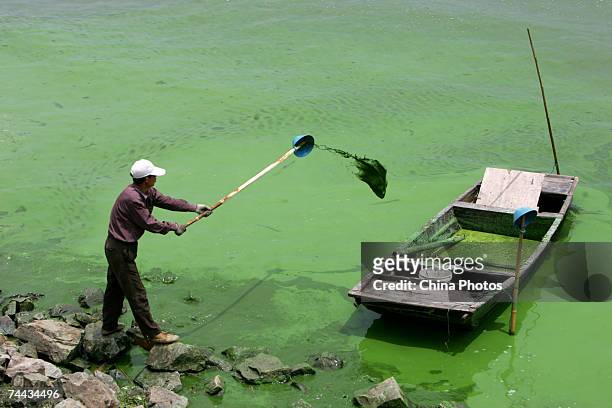 Worker collects blue-green algae at the water intake of Nanquan Source Water Plant, a major water plant for Wuxi Tap Water Supply Company, on the...