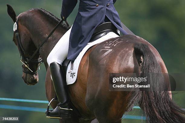 Zara Phillips rides her horse Tsunami II on which her trademark 'Z' croup stencil appears at the Bramham International Horse Trials on June 08 2007...