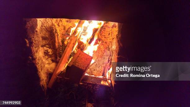camp fire - fogata stock pictures, royalty-free photos & images
