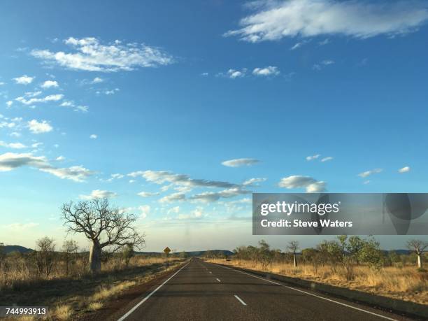 summer road trip - lake argyle bildbanksfoton och bilder