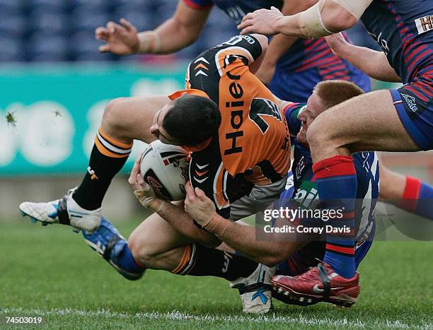 Nathan Hinton of the Tigers is tackled by Knights defence during the round 13 NRL match between the Newcastle Knights and the Wests Tigers at...