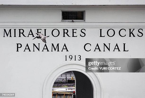 Un pelicano pasa frente al edificio de control de las Esclusas de Miraflores en el Canal de Panama el 06 de junio de 2007. La ampliacion del canal es...