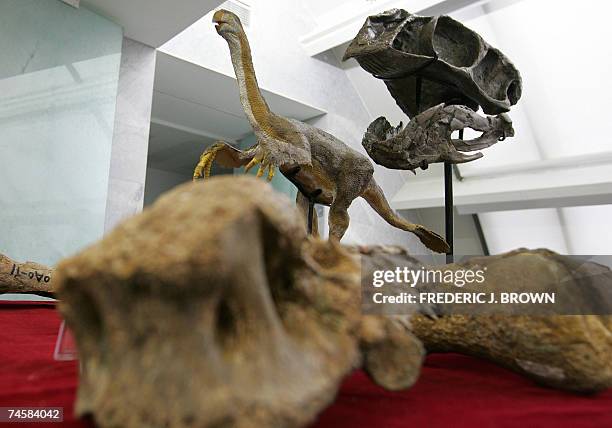 Late Cretaceous Period Photos And Premium High Res Pictures Getty Images guluword-blog