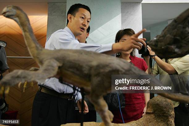 Dinosaur hunter Xing Xu briefs the media on the fossilized bones of a gigantic theropod dinosaur, Gigantorraptor Erlianensis, on display for the...