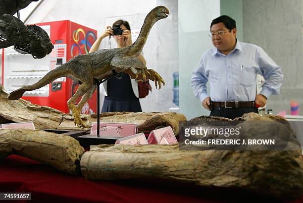 Fossilized bones of a gigantic theropod dinosaur, Gigantorraptor Erlianensis, are put on display for the media in Beijing, 13 June 2007, after the...