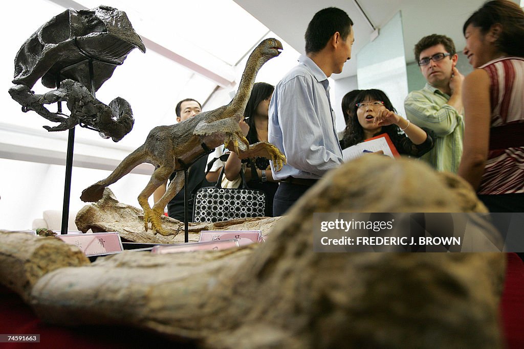 Dinosaur hunter Xing Xu (C) briefs the p...