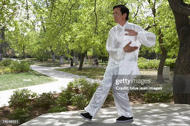 elderly man practices tai chi in a park. - un solo hombre mayor camisa fotografías e imágenes de stock