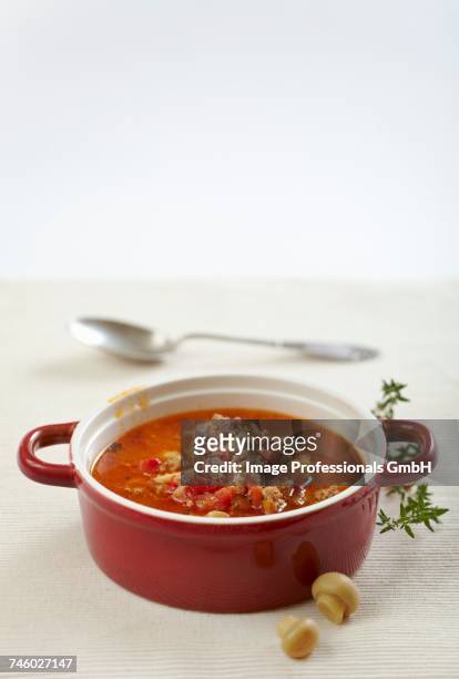 ground beef soup with tomatoes and mushrooms - ground beef stew stock-fotos und bilder