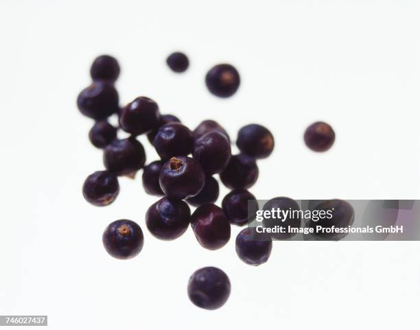 juniper berries - wacholderbeeren stock-fotos und bilder