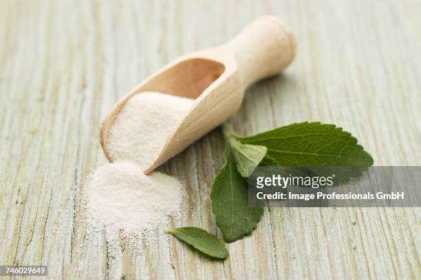 stevia leaves and powder - stevia stock pictures, royalty-free photos & images
