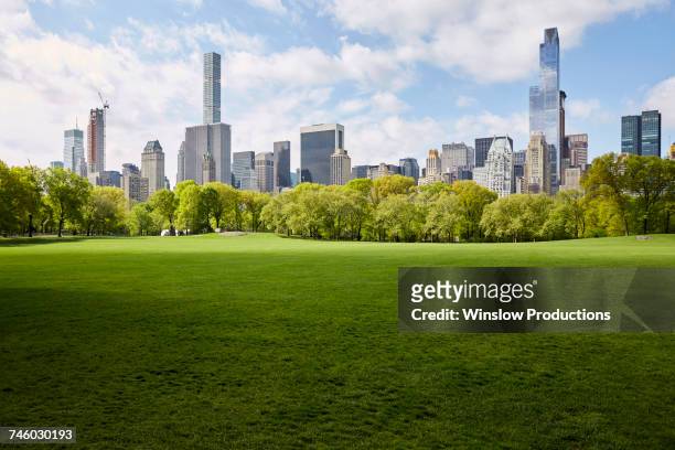 usa, new york state, new york city, manhattan skyline with central park in foreground - central park new york stockfoto's en -beelden