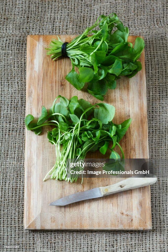 Two bunches of purslane