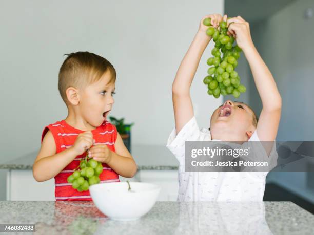 brothers (2-3, 6-7) eating white grapes - white grape ストックフォトと画像