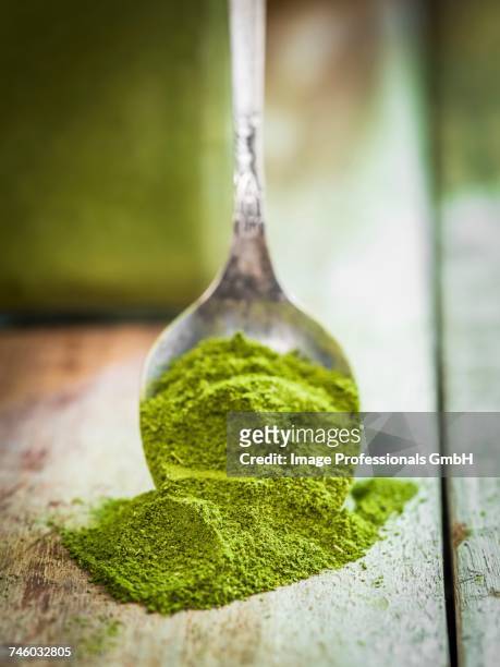 moringa powder on a spoon - moringa oleifera stock pictures, royalty-free photos & images