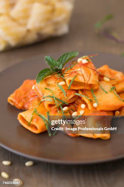 paccheri with a tomato and ricotta sauce and pine nuts - savory sauce 個照片及圖片檔